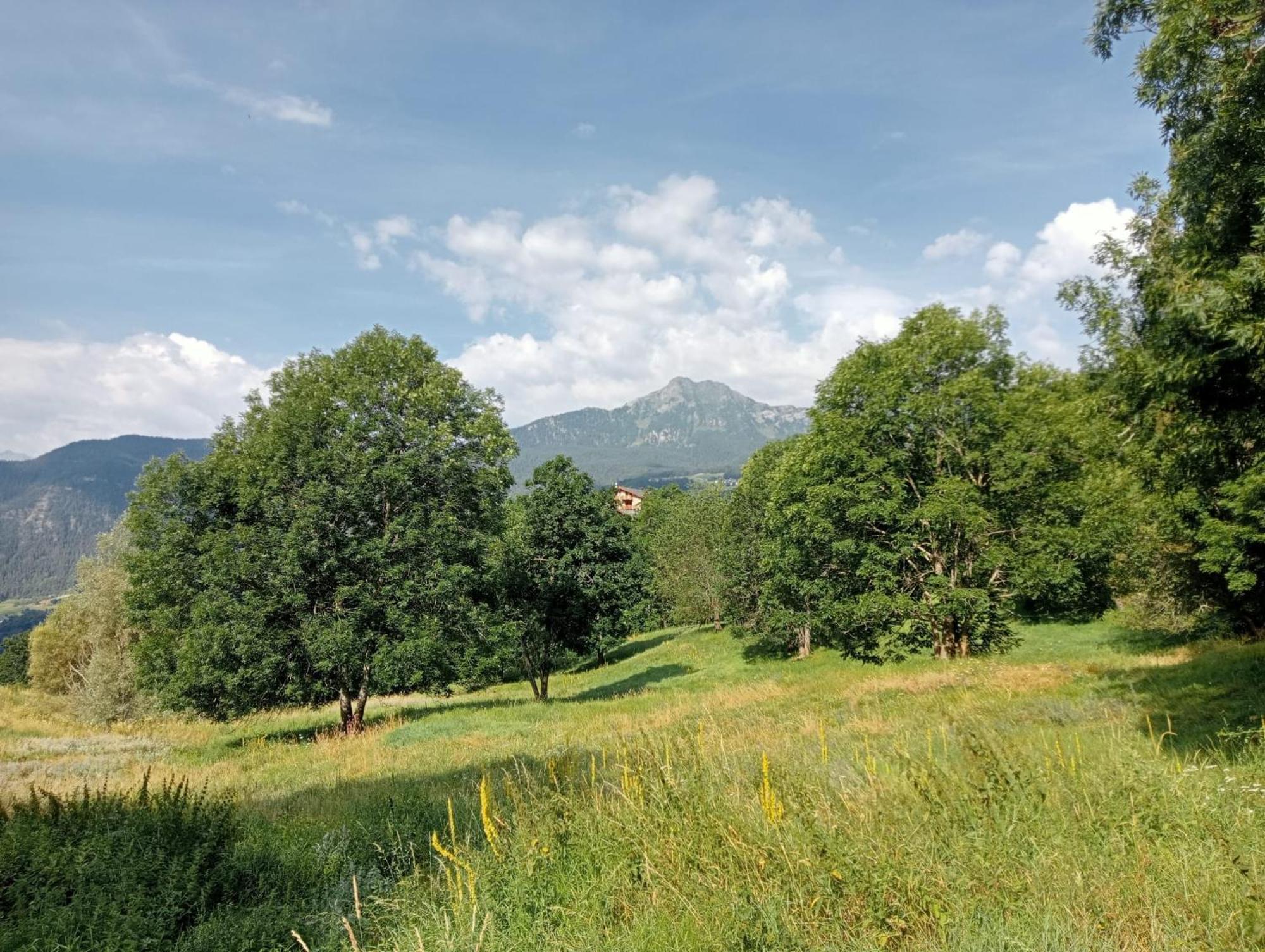 Home Sweet Home Antey-Saint-André Εξωτερικό φωτογραφία