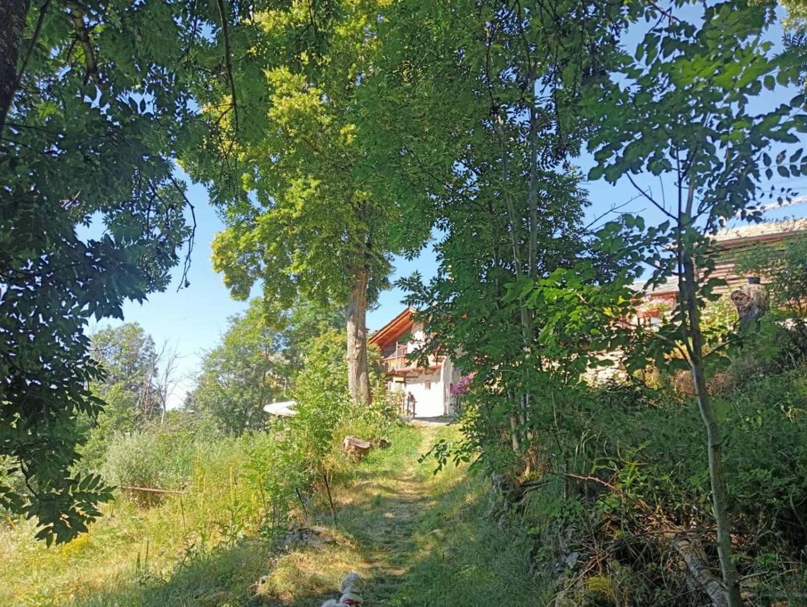 Home Sweet Home Antey-Saint-André Εξωτερικό φωτογραφία