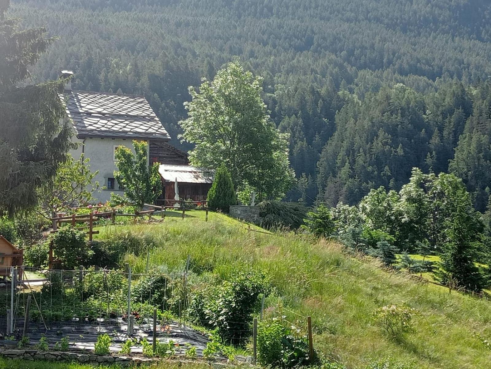 Home Sweet Home Antey-Saint-André Εξωτερικό φωτογραφία